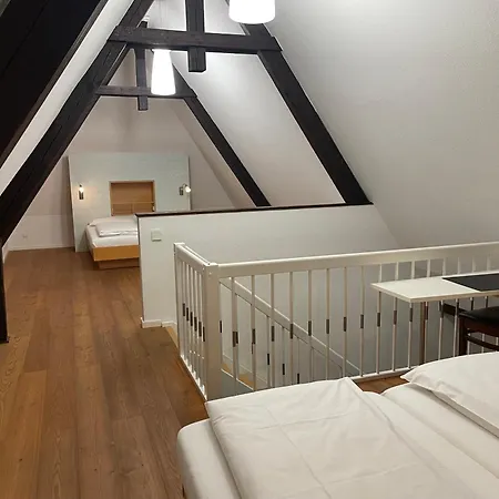 Jugendstilhotel Trifels ホテル 3*